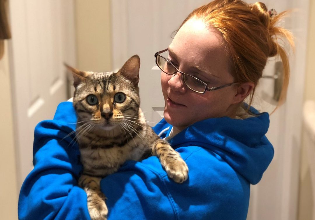 LIV for PETS Dog Walking and Pet Sitting in Slip End Harpenden Caddington and Markyate - About Us Picture - Owner holding Bengal cat